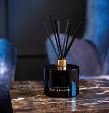 Afbeelding in Gallery-weergave laden, TED SPARKS - Geurstokjes XL - Wilde Roos &